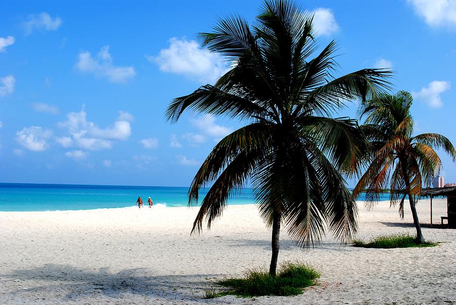 Aruba Paradise Beach by Ron Bartels