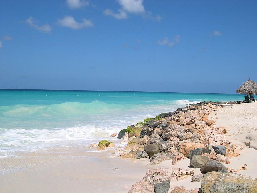 Aruba's Eagle Beach Photograph by WindwardArt Galleries - Pixels