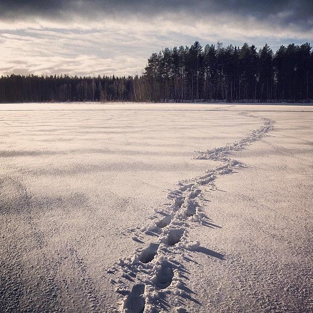 Finnish Photograph - As I Walked Across The Frozen Lake The by Aleck Cartwright