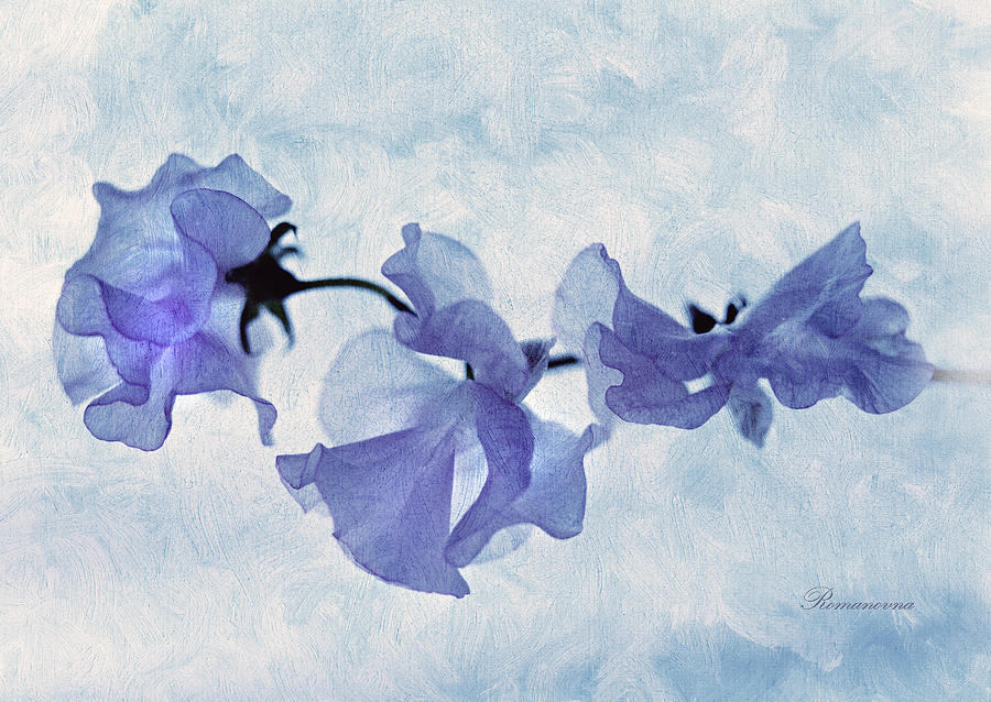 Flower Mixed Media - As Light As Air by Georgiana Romanovna
