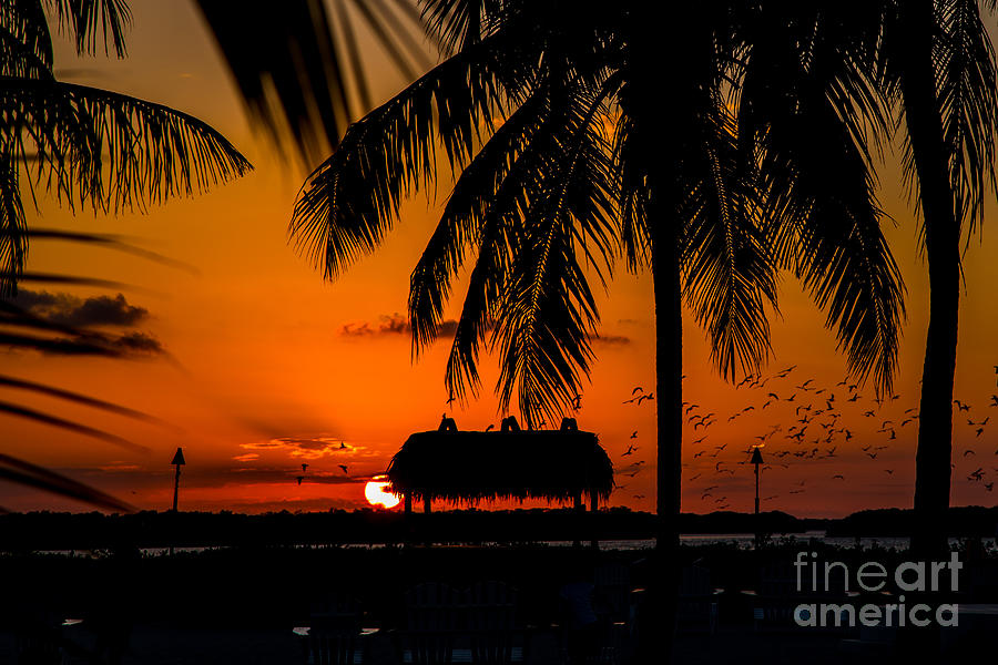 Sunset Photograph - As the Birds Fly for the Night by Rene Triay FineArt Photos
