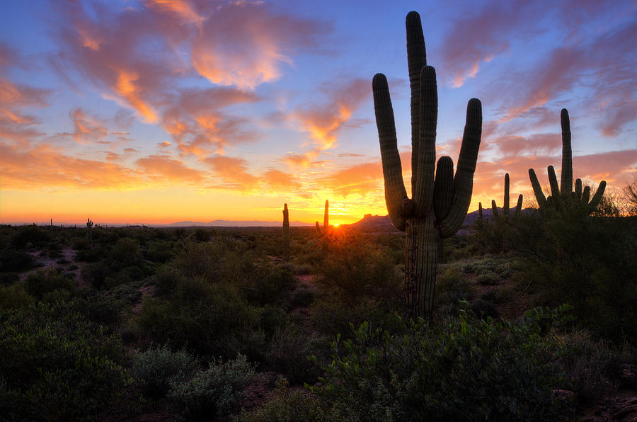 As the Light Starts to Fade Photograph by Saija Lehtonen - Pixels