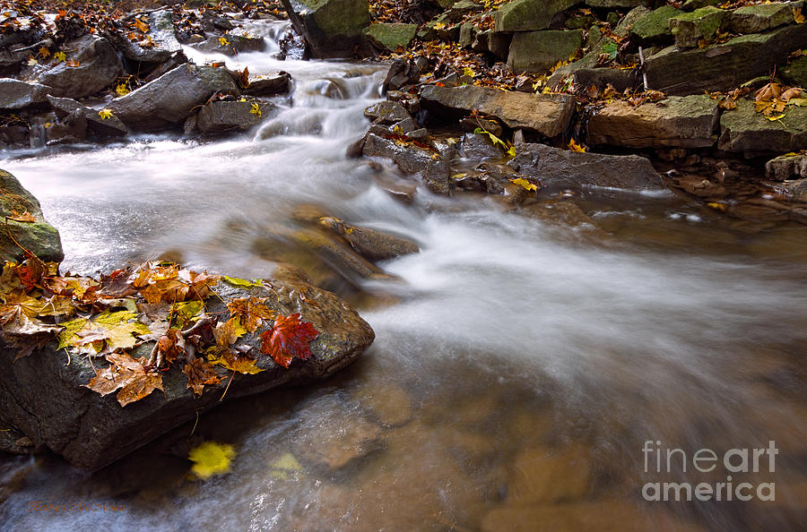 As The Stream Runs By In Autumn Photograph by Barbara McMahon