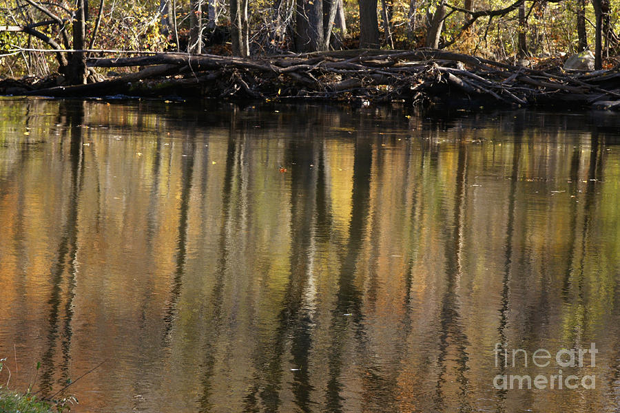 As Through A Leafless Landscape Flows A River Photograph by Linda Shafer