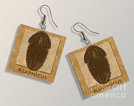 Asaphicus Fossil Trilobite Paper Earrings Digital Art by Melissa A Benson