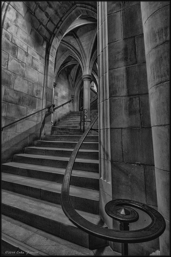Ascending from the Crypt Photograph by Erika Fawcett