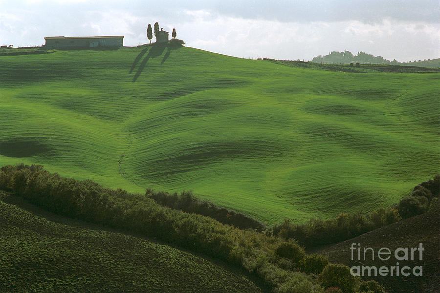 Landscape Photograph - Asciano #4 by Lionel F Stevenson