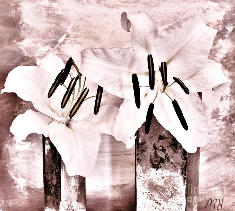 Asciatic White Lilies Photograph by Marsha Heiken