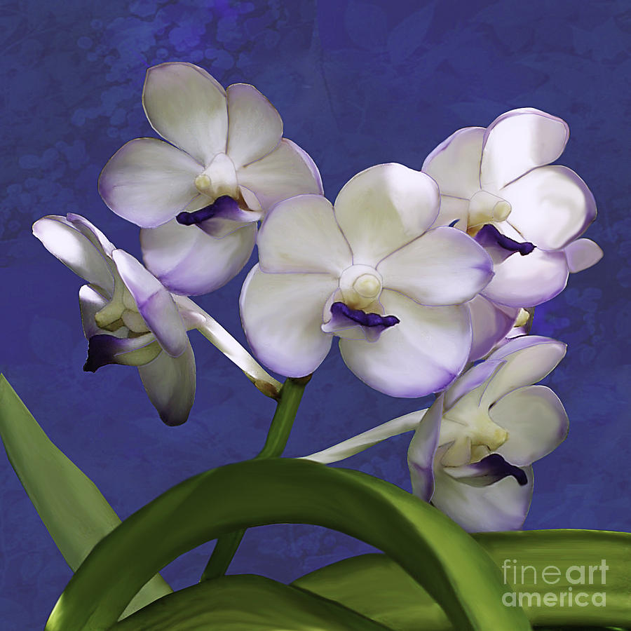 Orchid Photograph - Ascocenda Orchid by Joseph Vittek
