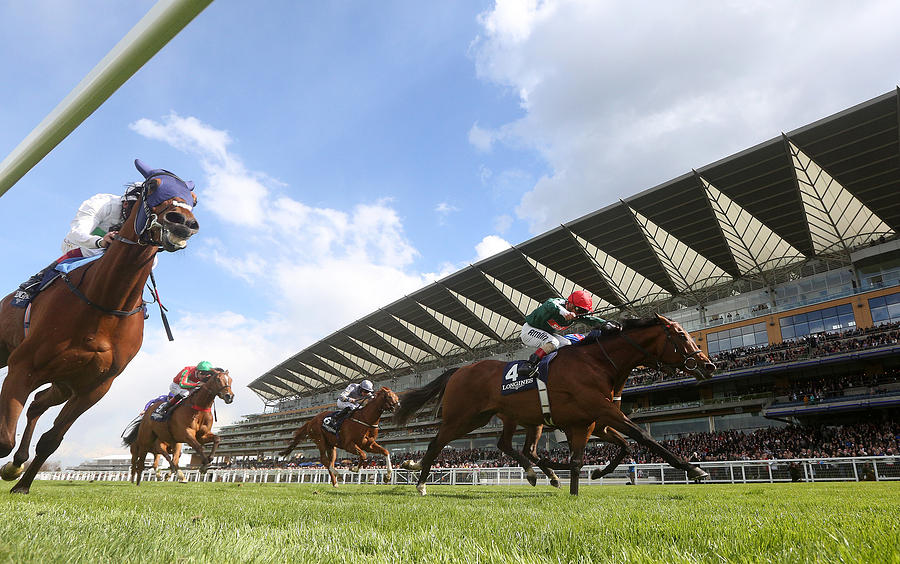 Ascot Races Photograph by Charlie Crowhurst