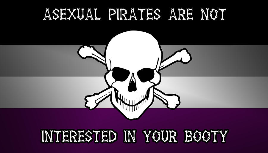 Asexual Pirate Booty Pride Flag Lgbtq Long Sleeve T-Shirt