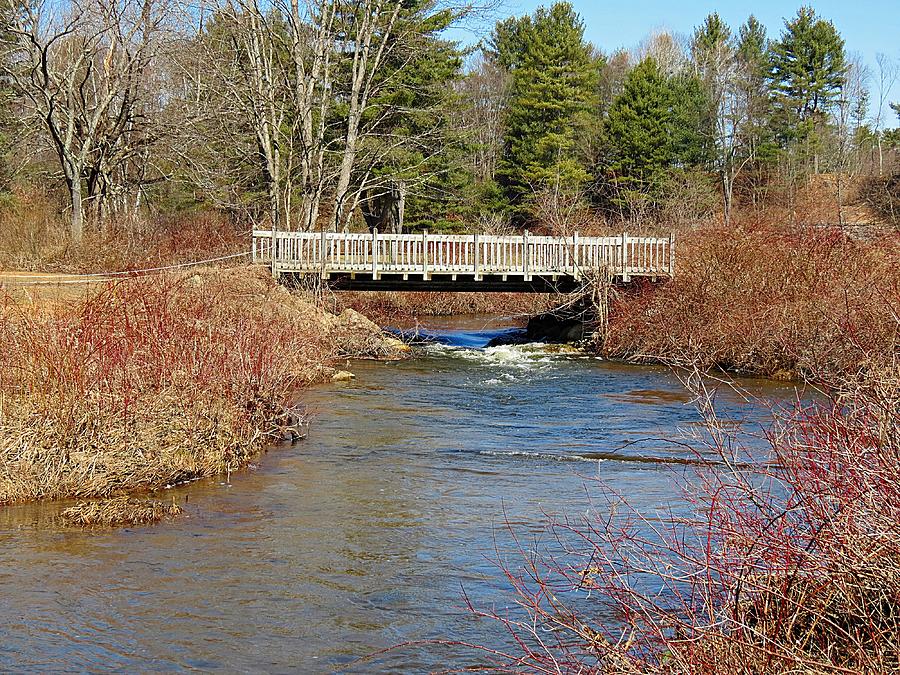 Ash Brook and Bridge Photograph by MTBobbins Photography