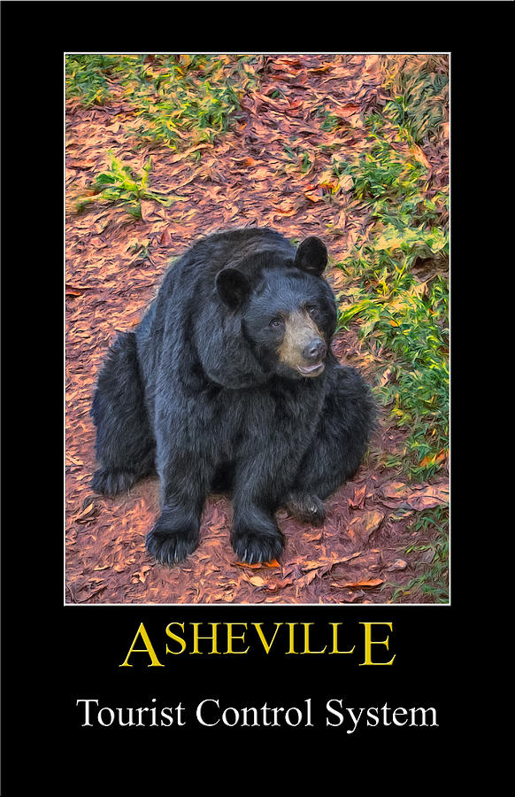 Asheville Bears Poster Digital Art by John Haldane