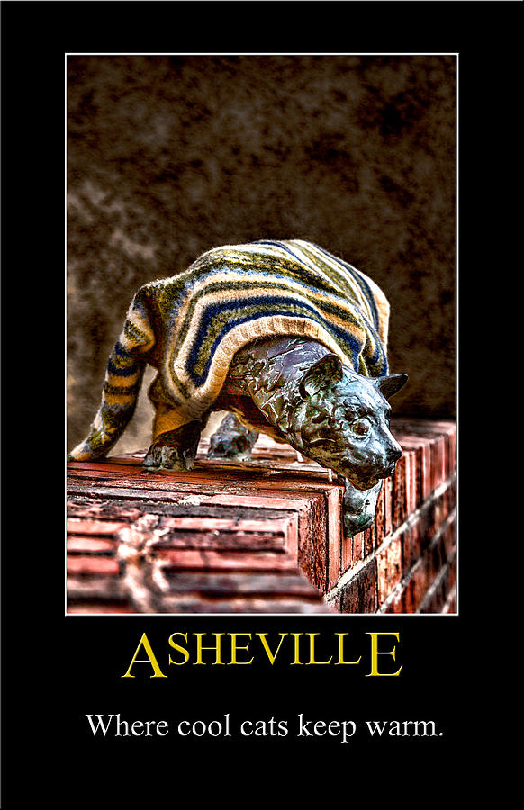 Asheville Digital Art - Asheville Cats Poster by John Haldane