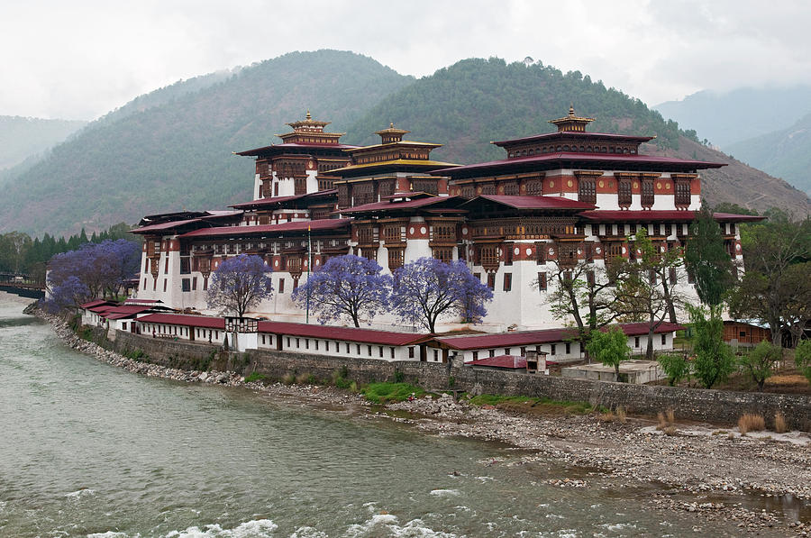 Architecture Photograph - Asia, Bhutan Exterior View Of Punakha by Jaynes Gallery