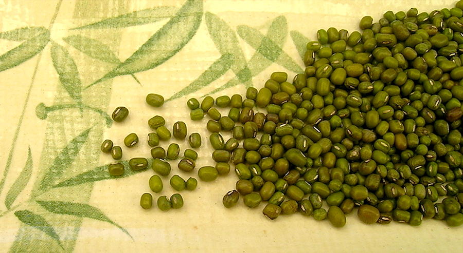 Asian Mung Beans Photograph by James Temple