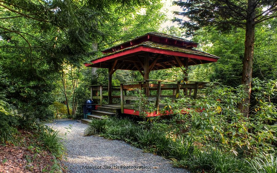 Asian Style Gazebo Unc Charlotte Botanical Gardens Photograph By