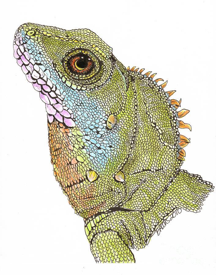 Reptile Drawing - Asian Water Dragon by Richard Brooks