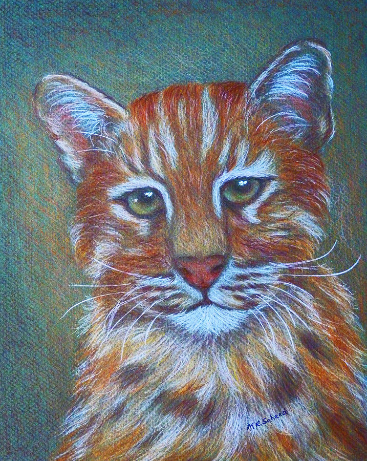 Asiatic Golden Cat Painting by Margaret Saheed