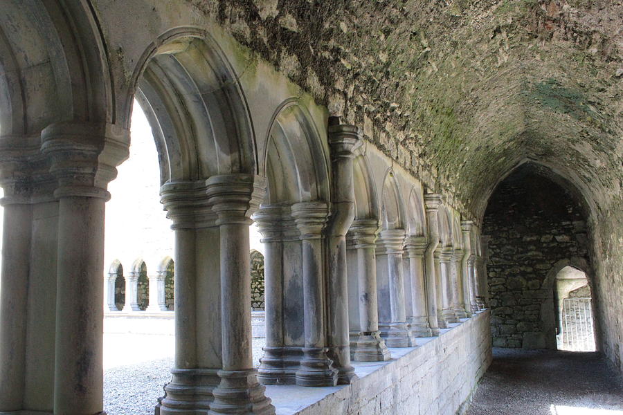Askeaton Friary Photograph by Carrie Todd