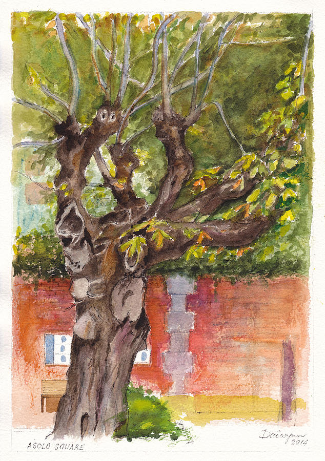Asolo Piazza Tree Painting by Dai Wynn