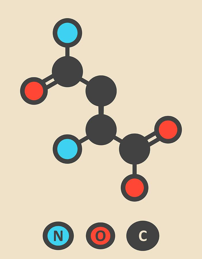 Asparagine Amino Acid Molecule Photograph by Molekuul