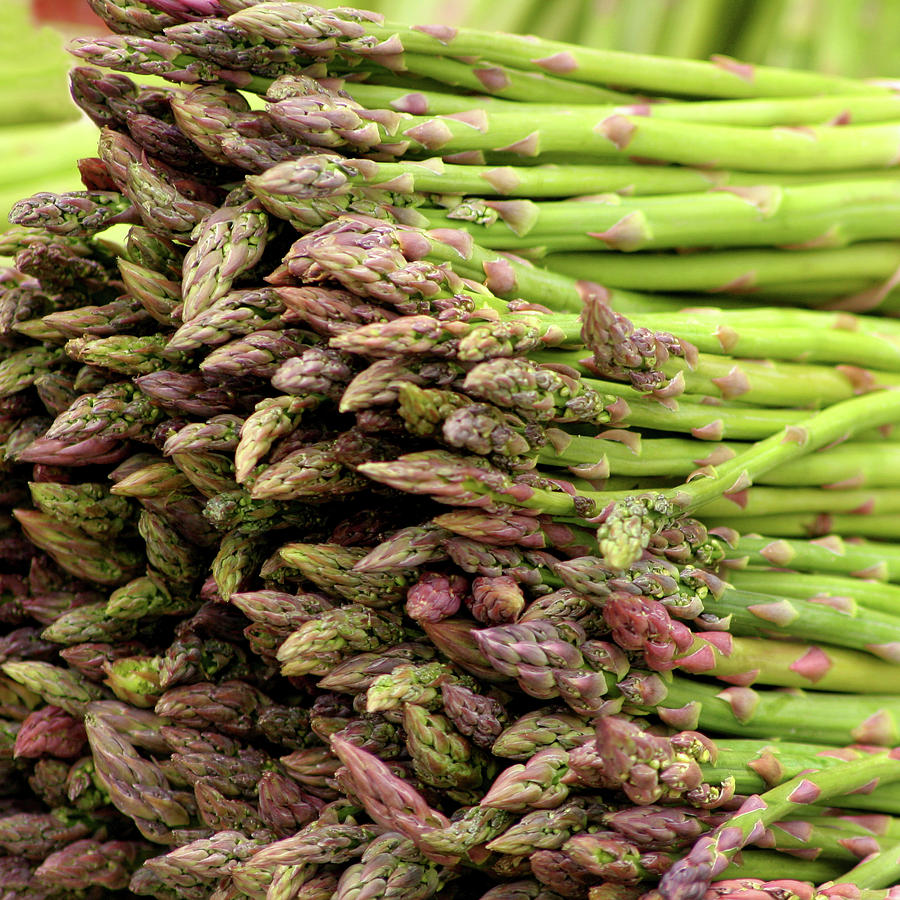Asparagus Photograph by Art Block Collections