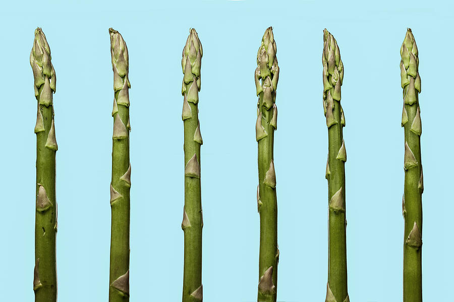 Asparagus Photograph by Bjorn Holland