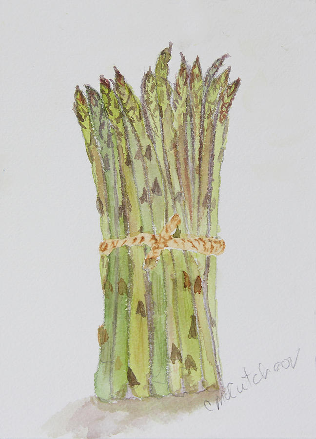 Asparagus Painting - Asparagus Bunch by Carol McCutcheon