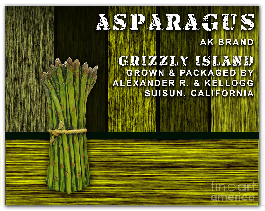 Asparagus Mixed Media - Asparagus Farm by Marvin Blaine
