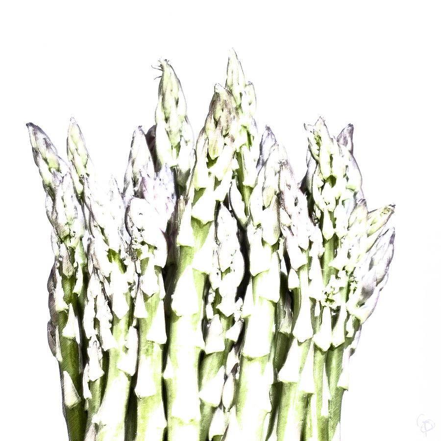 Asparagus Digital Art by George Pennington