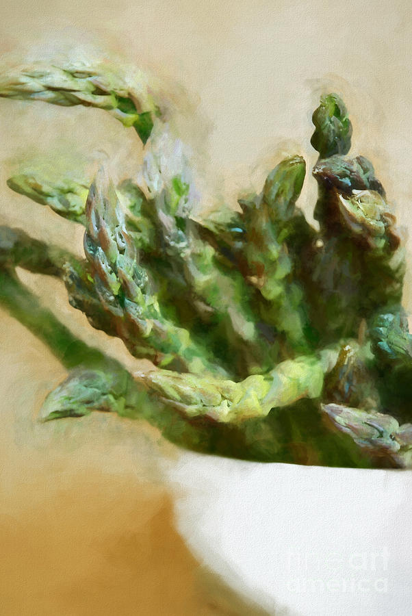 Asparagus Painting - Asparagus by HD Connelly