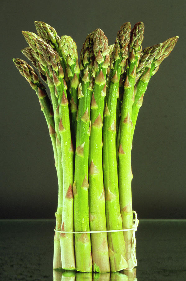 Asparagus Spears Photograph by Th Foto-werbung/science Photo Library