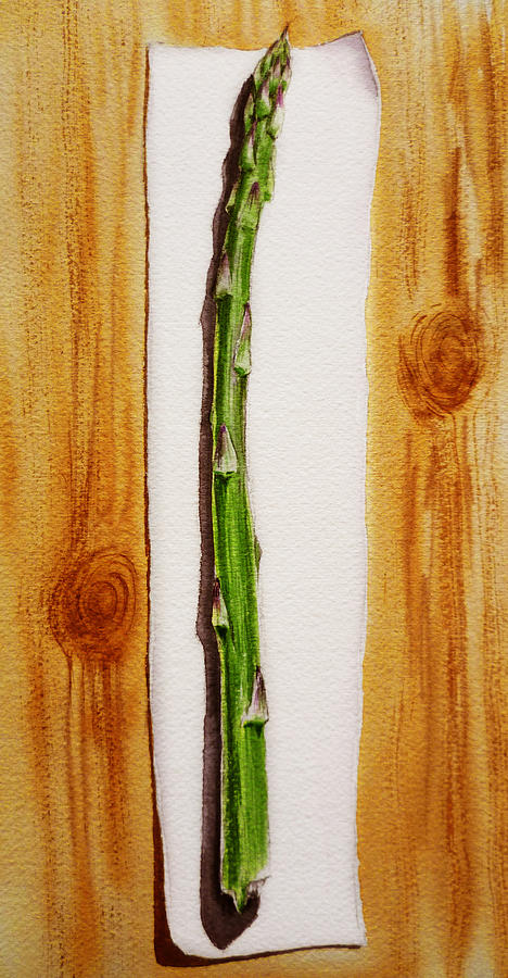 Asparagus Tasty Botanical Study Painting by Irina Sztukowski