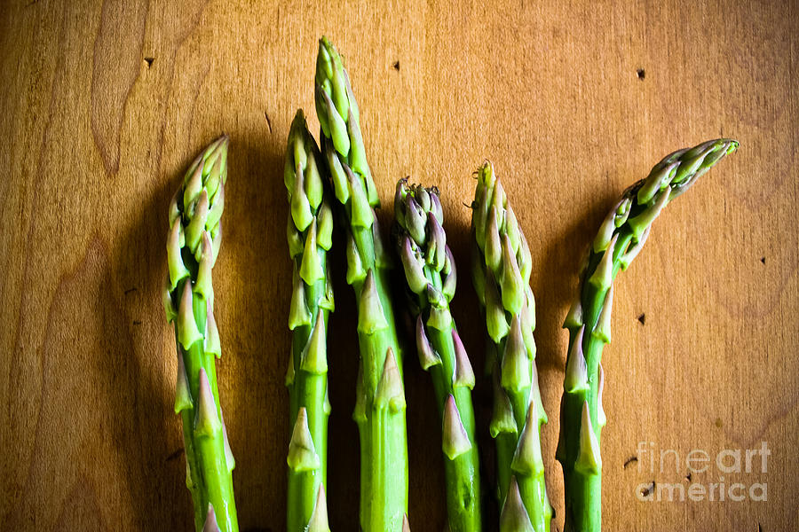 Six Asparagus Tips Photograph