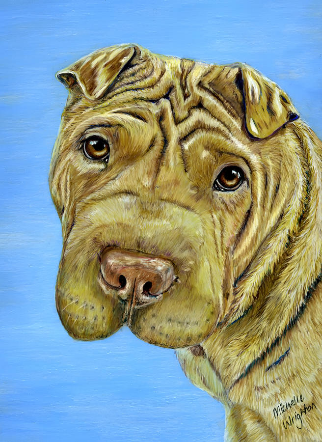 Beautiful Shar-Pei Dog Portrait Painting by Michelle Wrighton