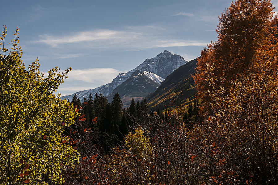Aspen and Mountains 1 Photograph by Lee Kirchhevel