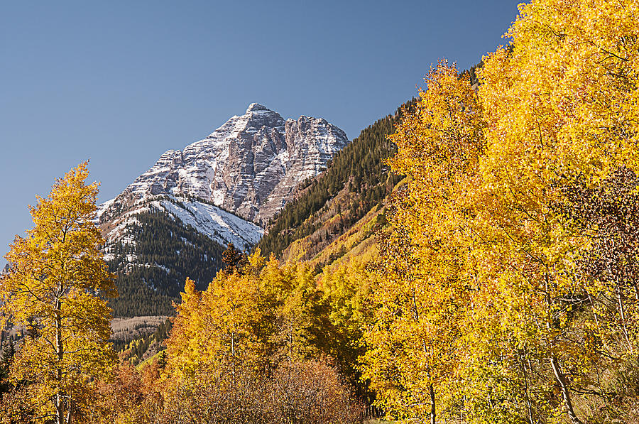 Aspen and Mountains 4 Photograph by Lee Kirchhevel