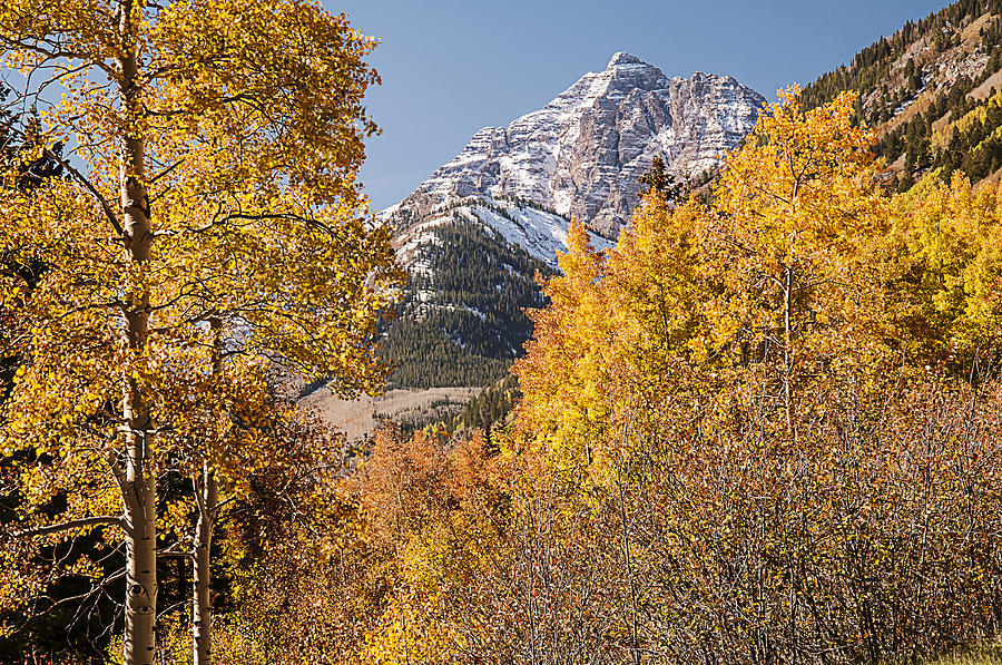 Aspen and Mountains 5 Photograph by Lee Kirchhevel