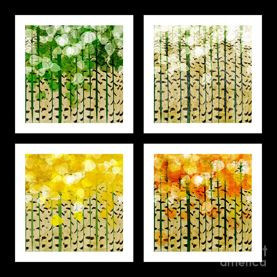 Aspen Colorado Abstract Square 4 In 1 Collection Digital Art by Andee Design