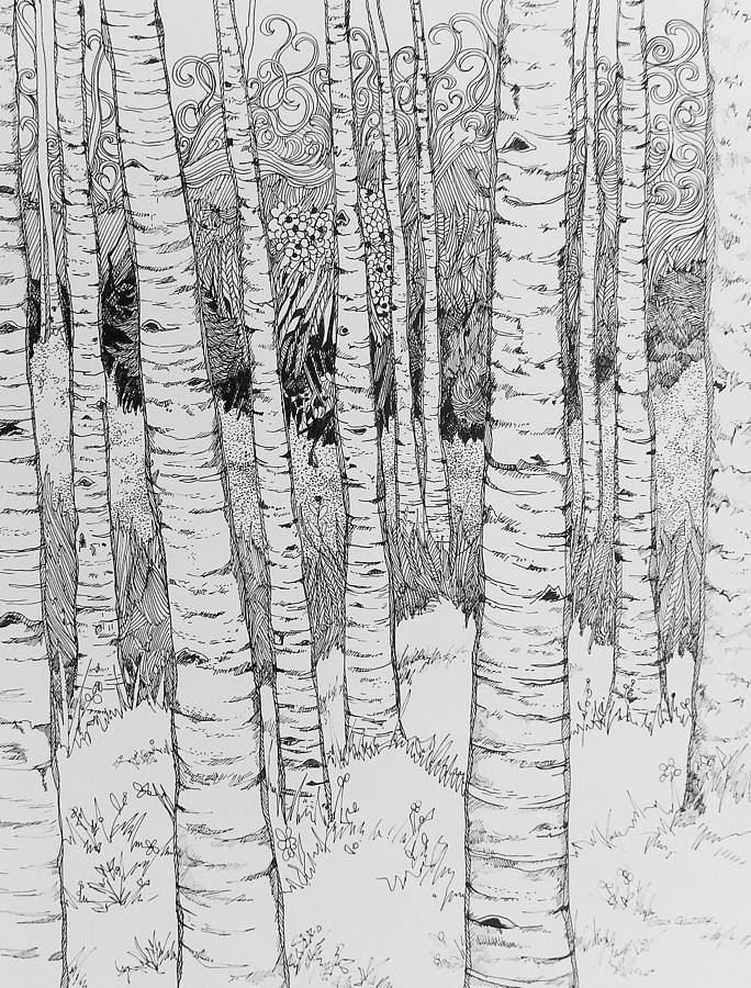 Aspen Forest Drawing by Terry Holliday