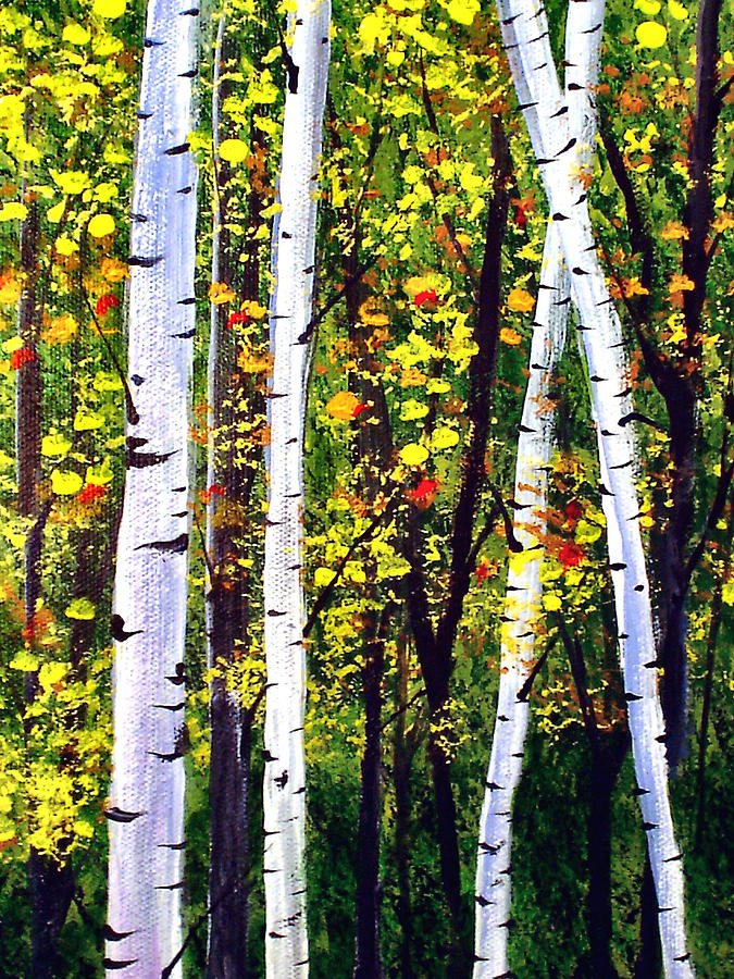 Aspen Forest Painting by Todd Young - Fine Art America