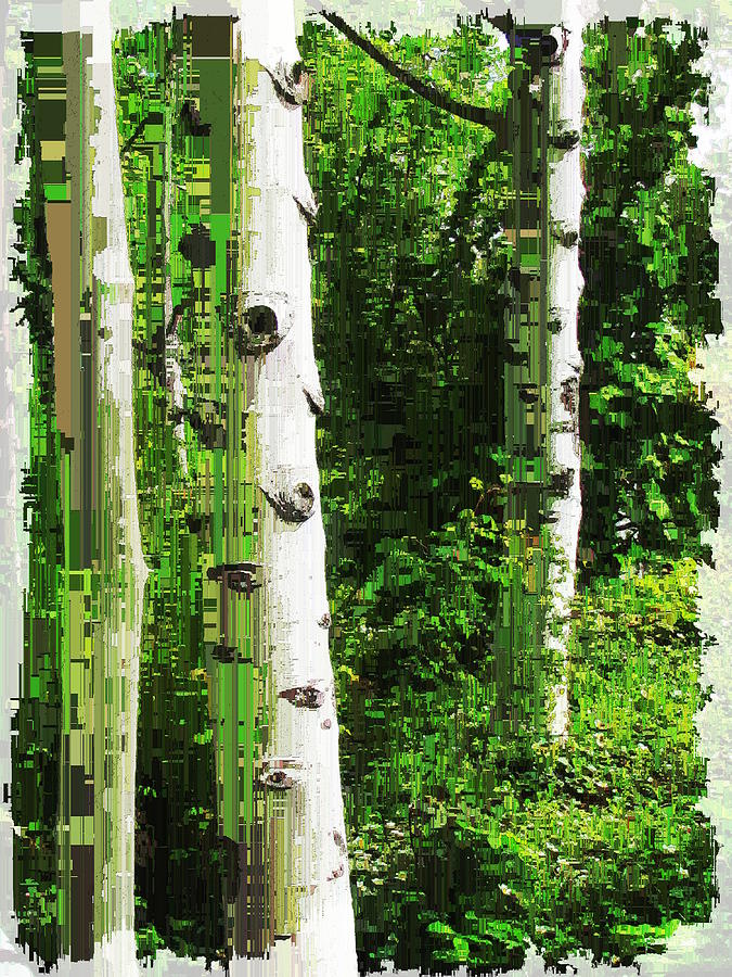 Tim Allen Digital Art - Aspen Grove 2 by Tim Allen