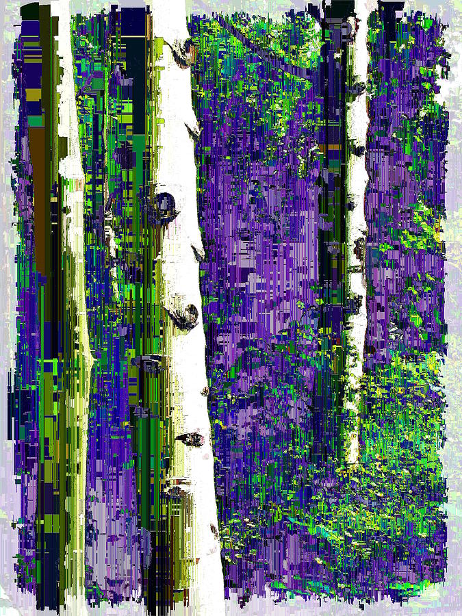 Aspen Grove 3 Digital Art by Tim Allen