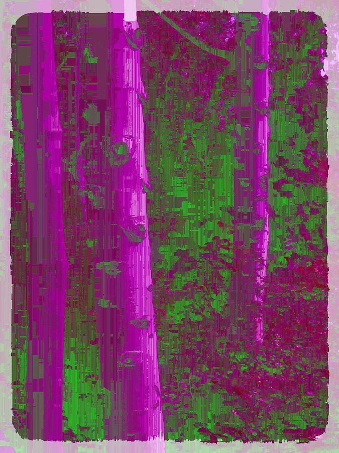 Aspen Grove 4 Digital Art by Tim Allen
