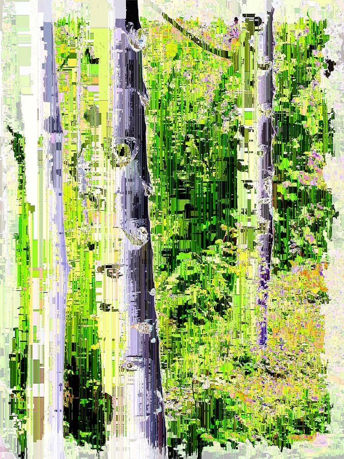 Aspen Grove 6 Digital Art by Tim Allen