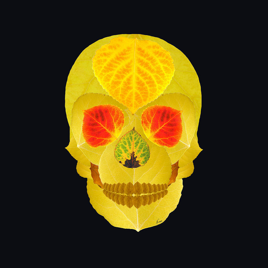 Aspen Leaf Skull 4 Black Digital Art by Agustin Goba