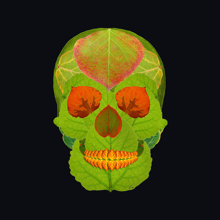 Aspen Leaf Skull 5 Black Digital Art by Agustin Goba