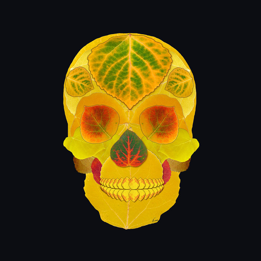 Aspen Leaf Skull 7 Black Digital Art by Agustin Goba