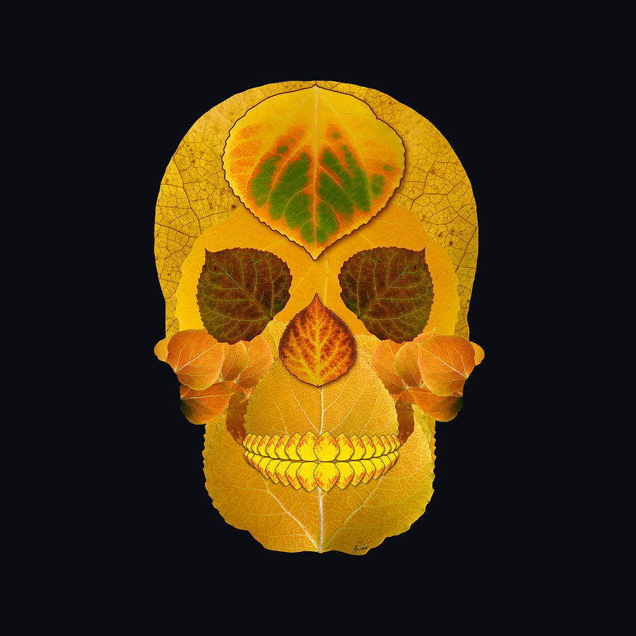 Aspen Leaf Skull 8 Black Digital Art by Agustin Goba